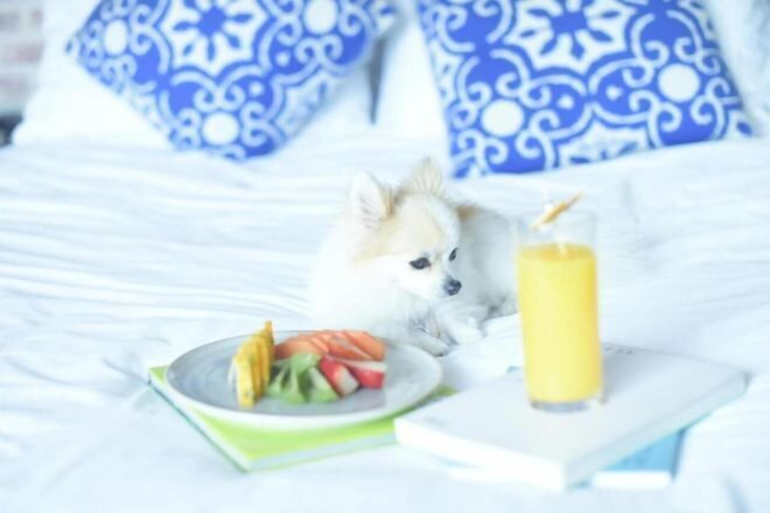 Premium bedding, pillow-top beds, minibar, in-room safe