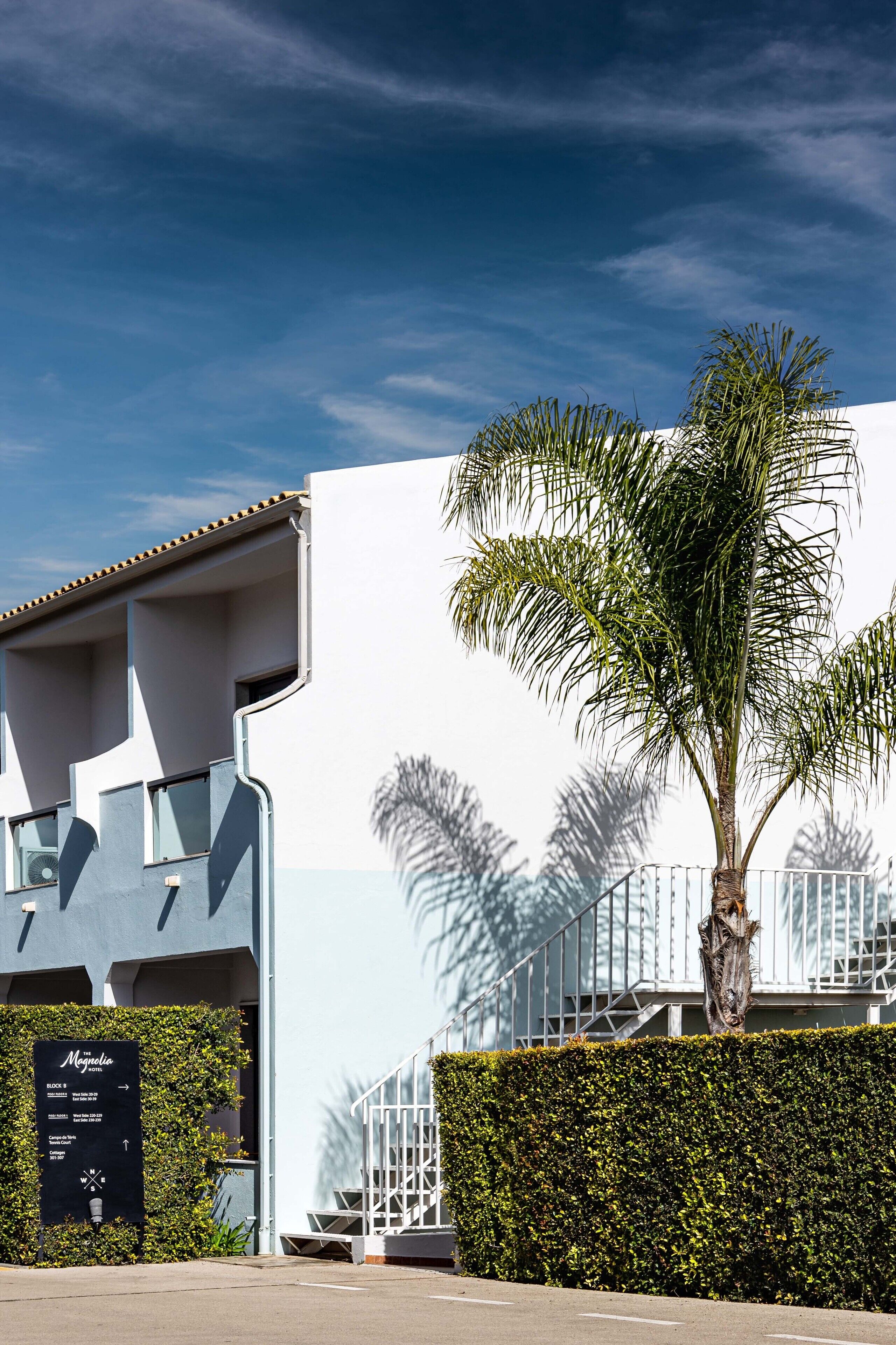 A modern building with a white facade and a palm tree in front.