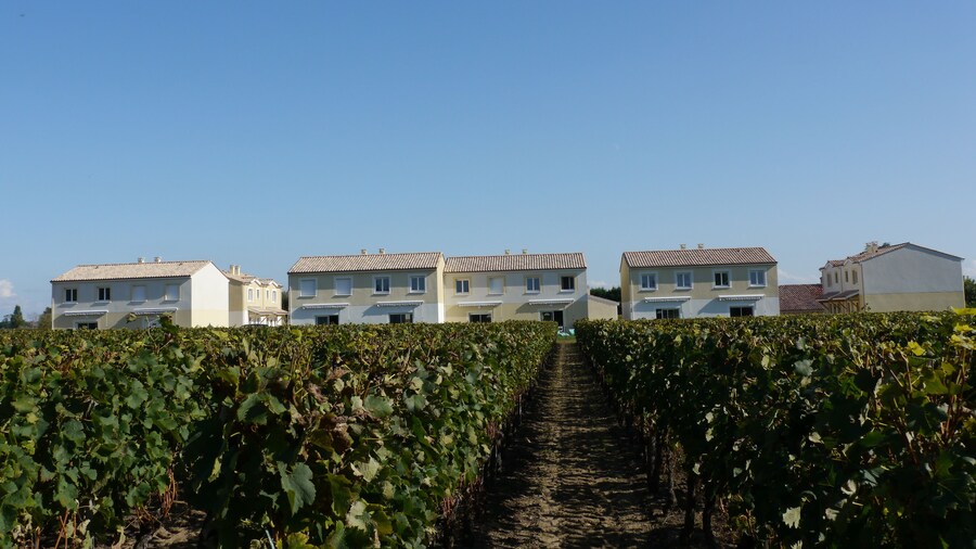 Les Grands Vignobles