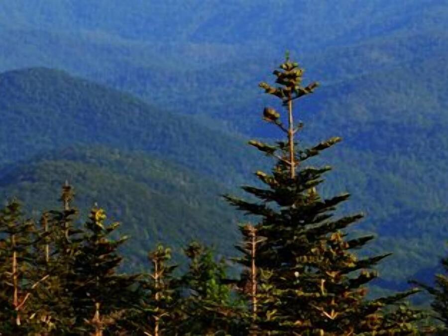 Vistas a la montaña