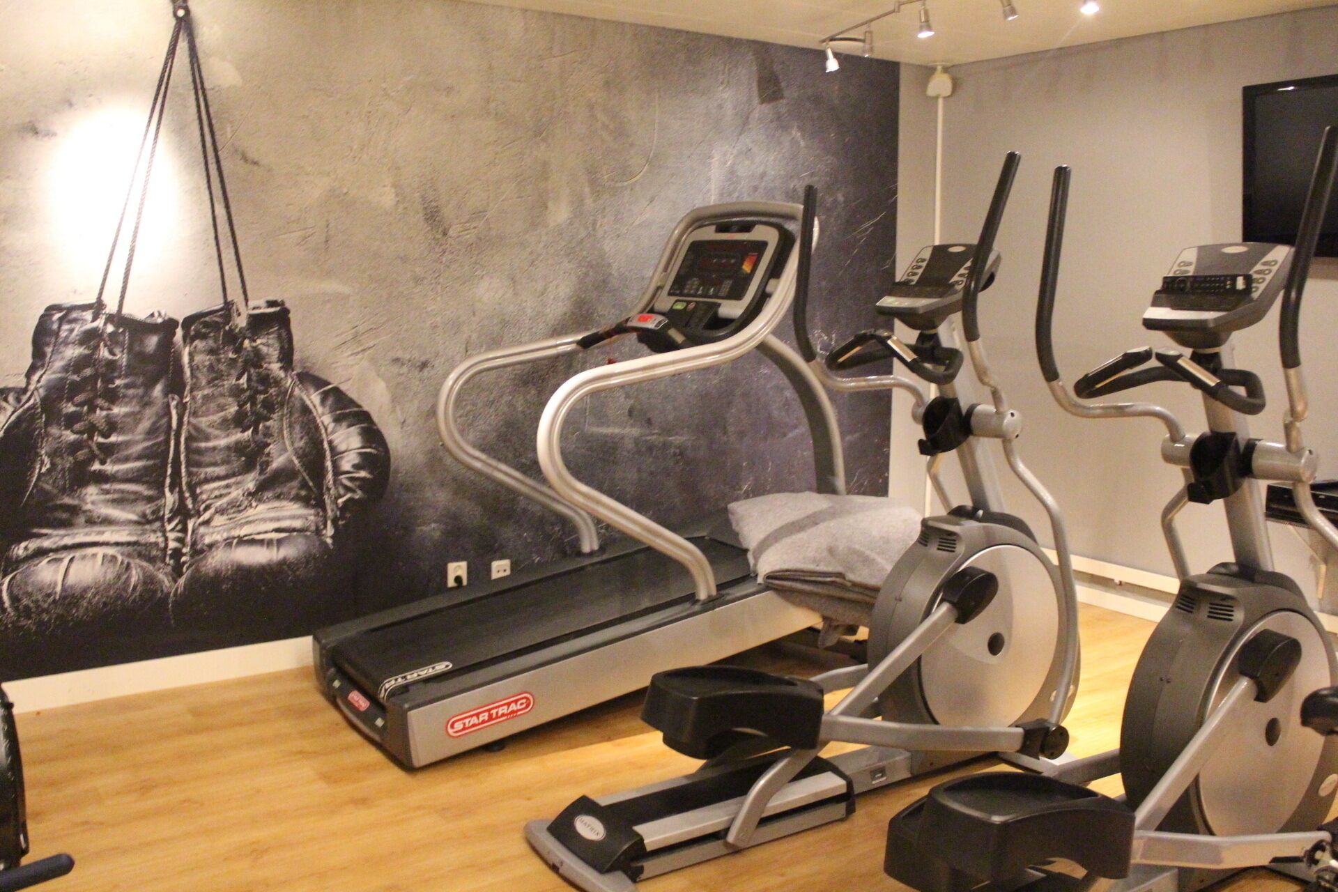 A gym with cardio machines, a wall-mounted punching bag, and a StarTrac elliptical.