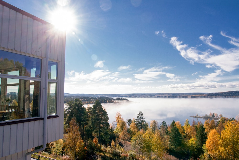 Hotell Wilhelmina AB by null