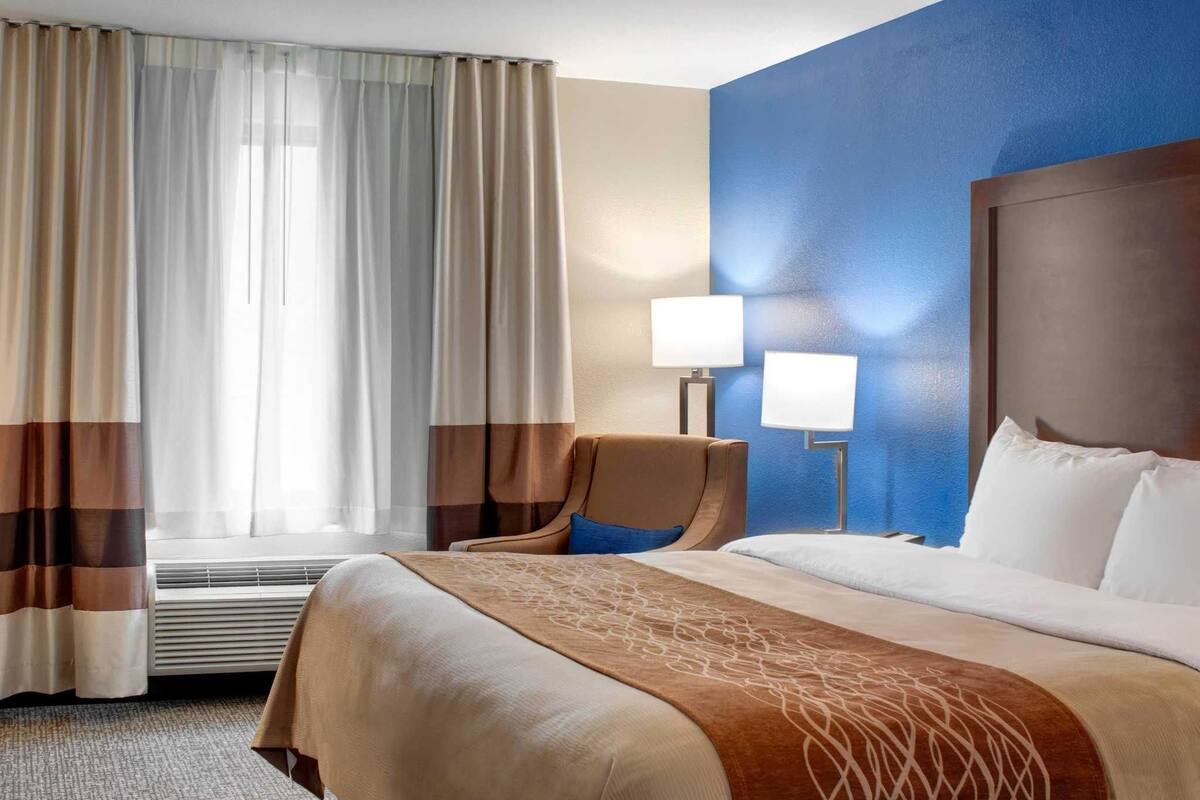 standard room, 1 king bed, non smoking | premium bedding, desk, iron/ironing board, free wifi