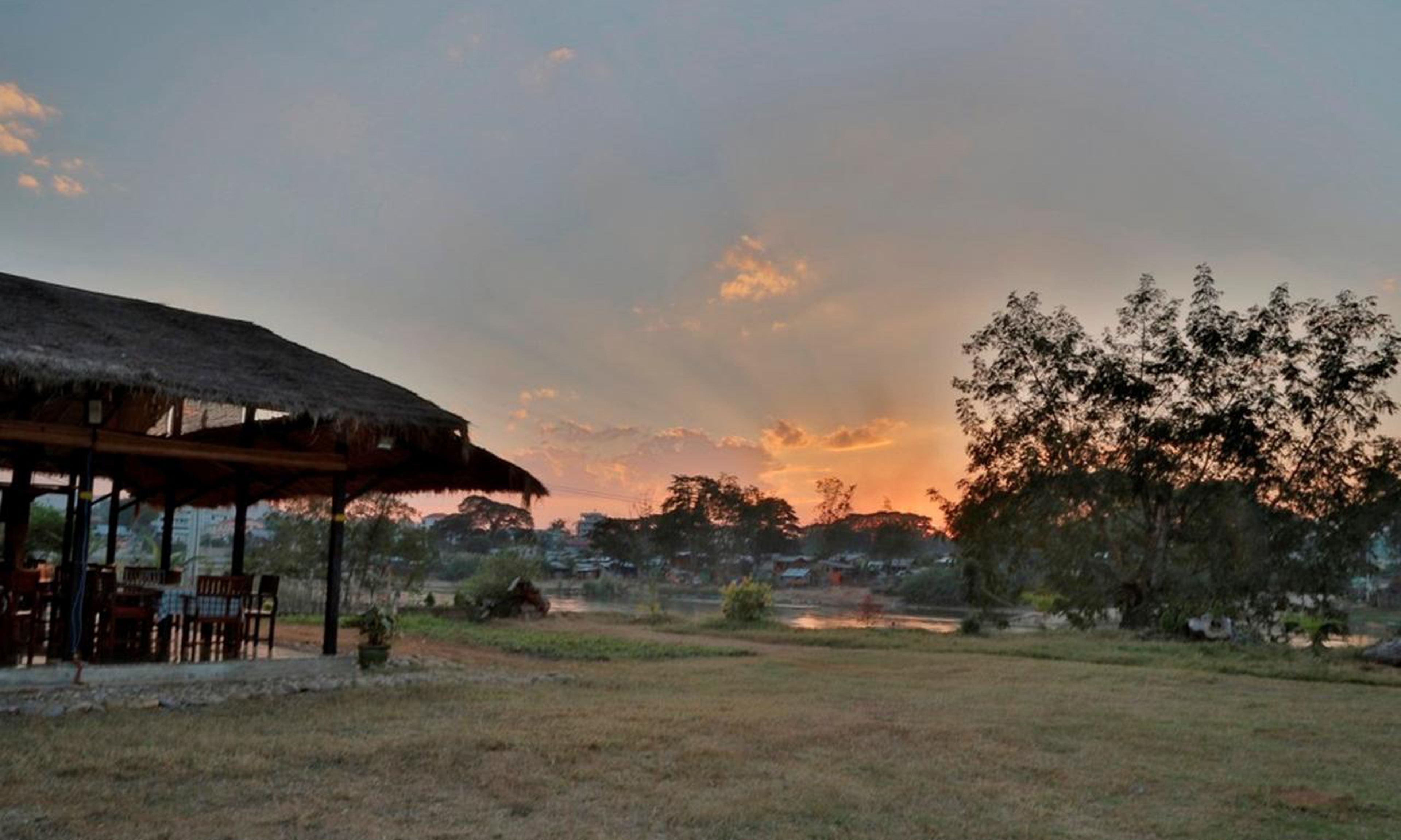 Taman