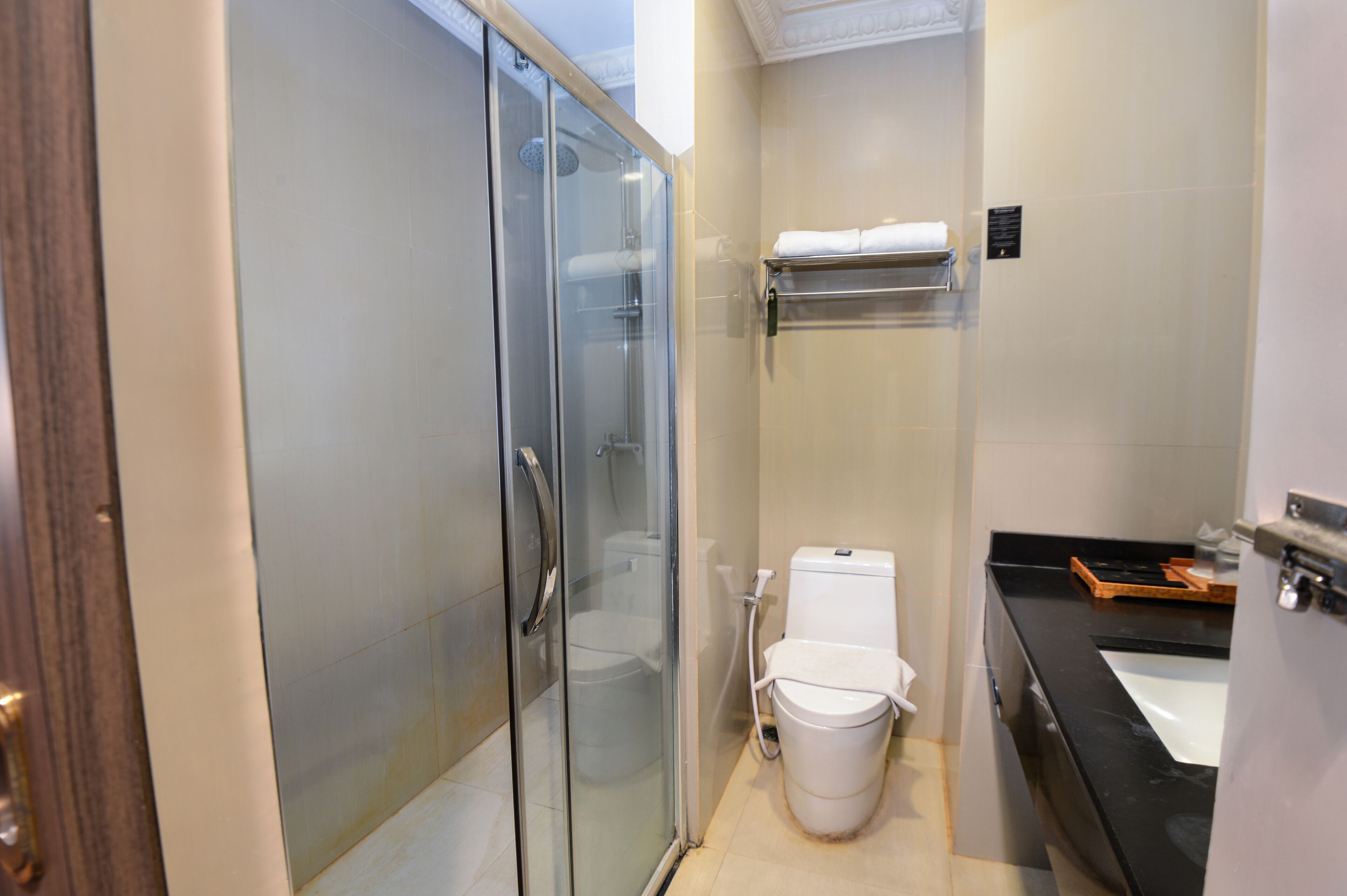 A compact bathroom with a glass shower enclosure, a white toilet, and a black countertop.