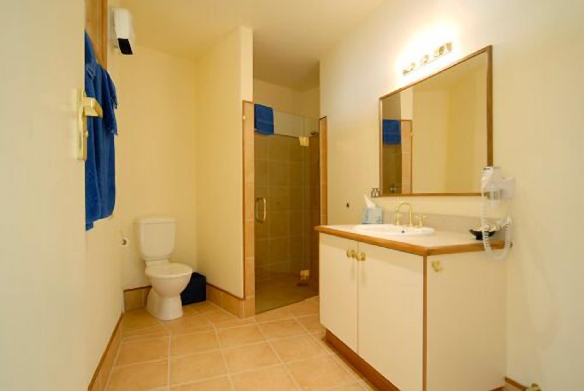 Un baño con inodoro, lavamanos y ducha.