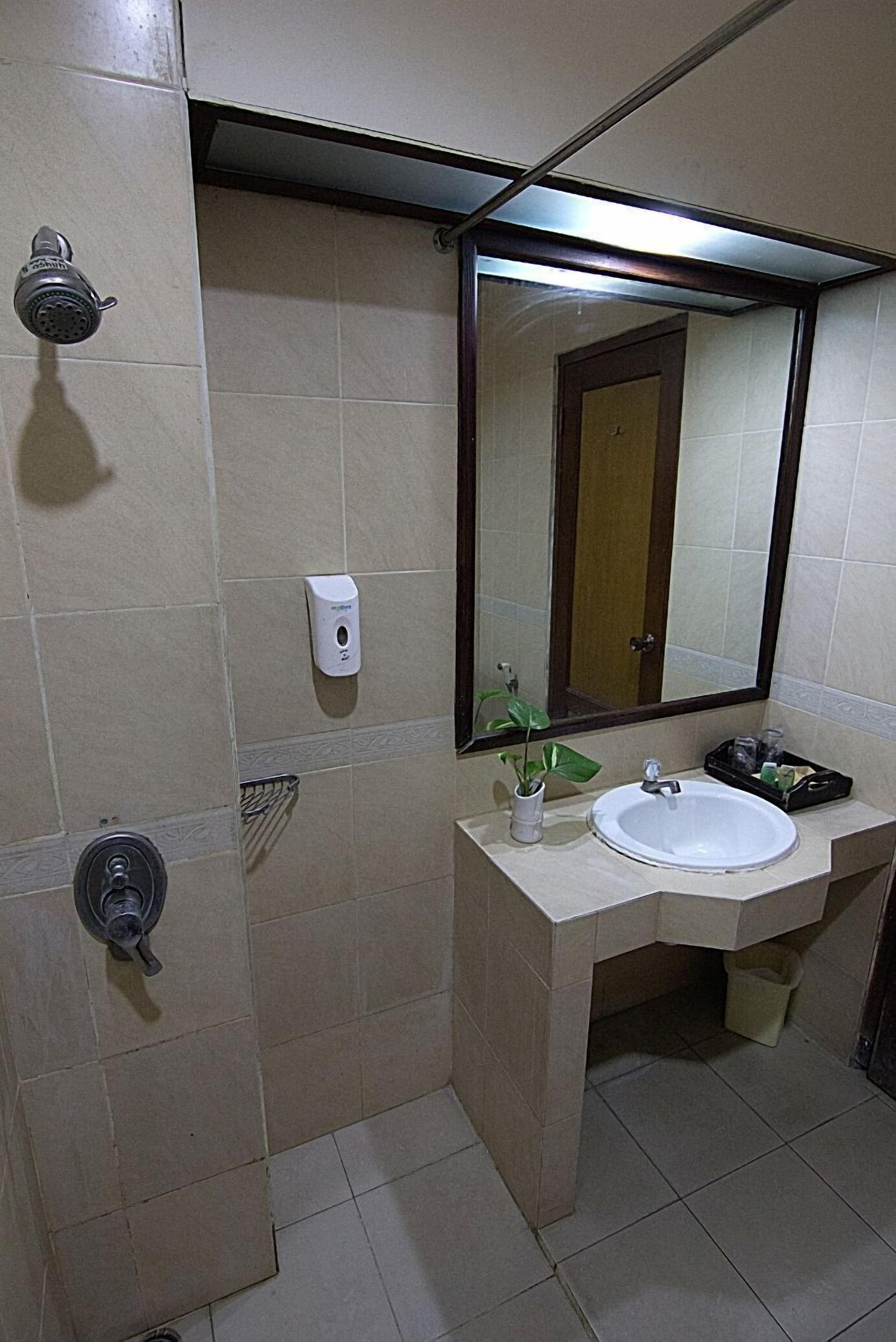 A bathroom with a sink, mirror, hand dryer, and a small potted plant.