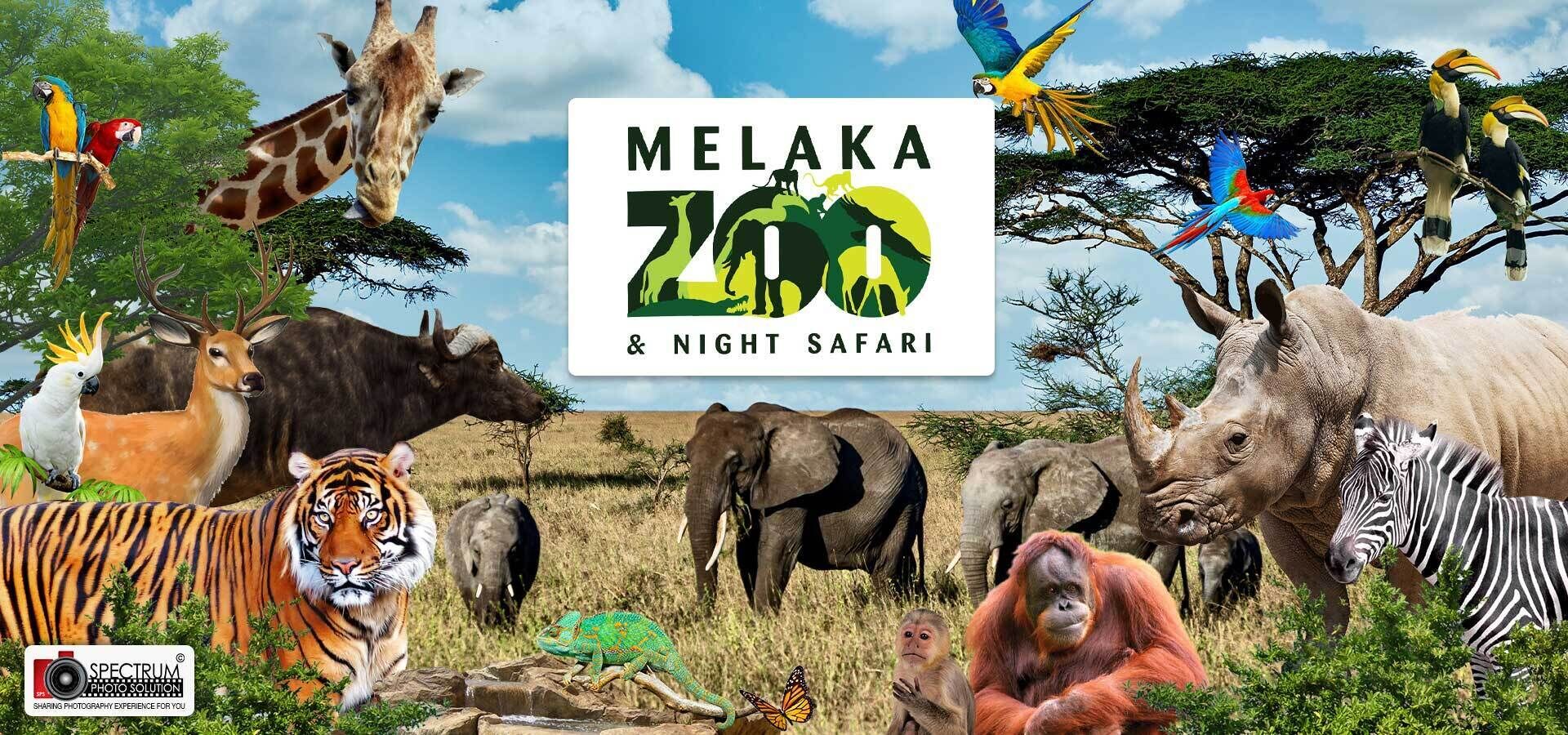 A collage of various animals and a logo for 'Melaka Zoo & Night Safari'.