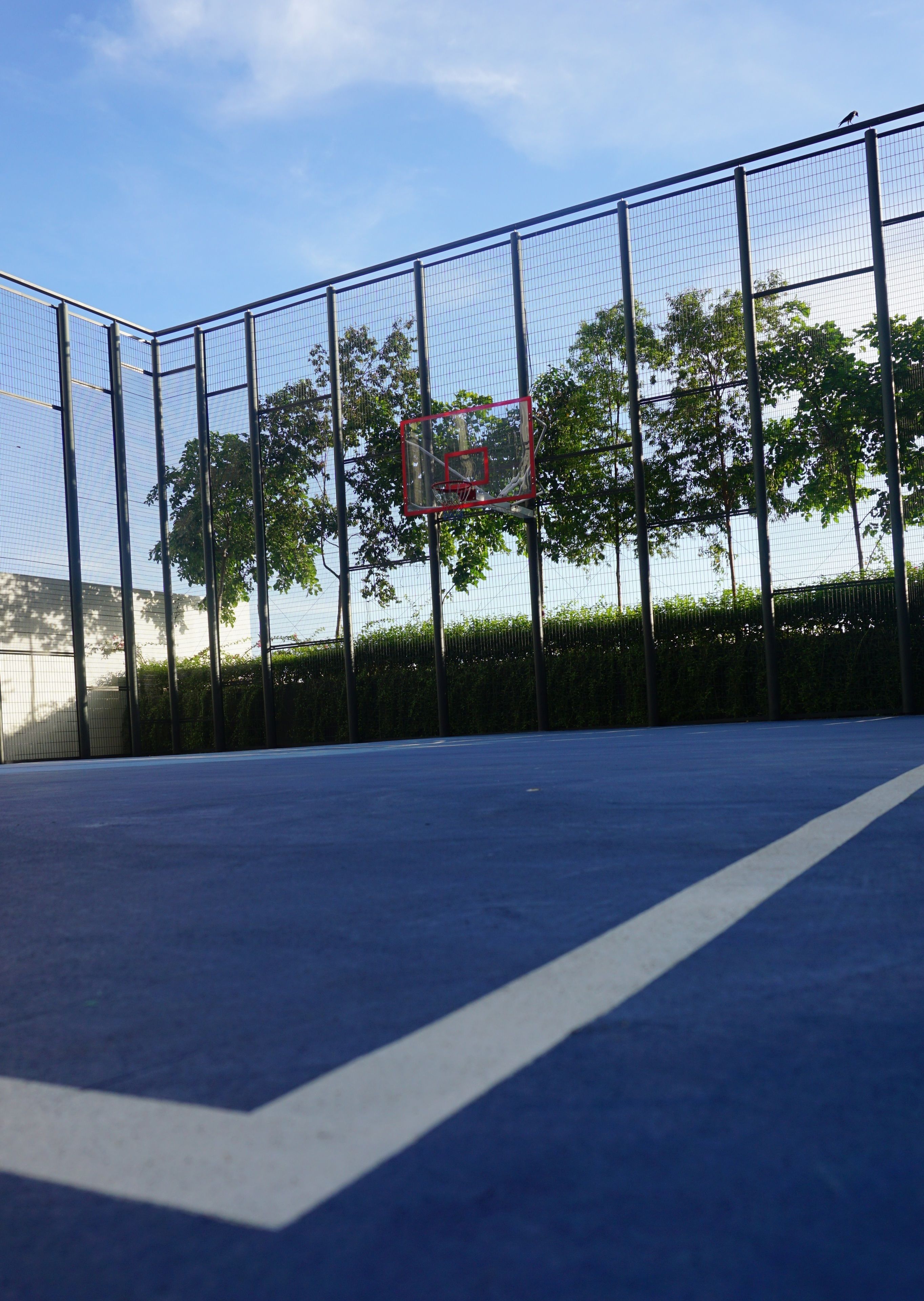 Una cancha de baloncesto con aro, rodeada por una cerca de metal y árboles.