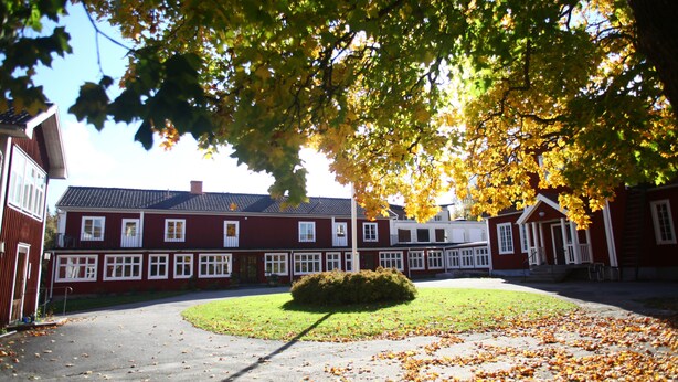 A courtyard with a red building, a tree with yellow leaves, and scattered fallen leaves. - Nyhyttans Kurort (Nora)