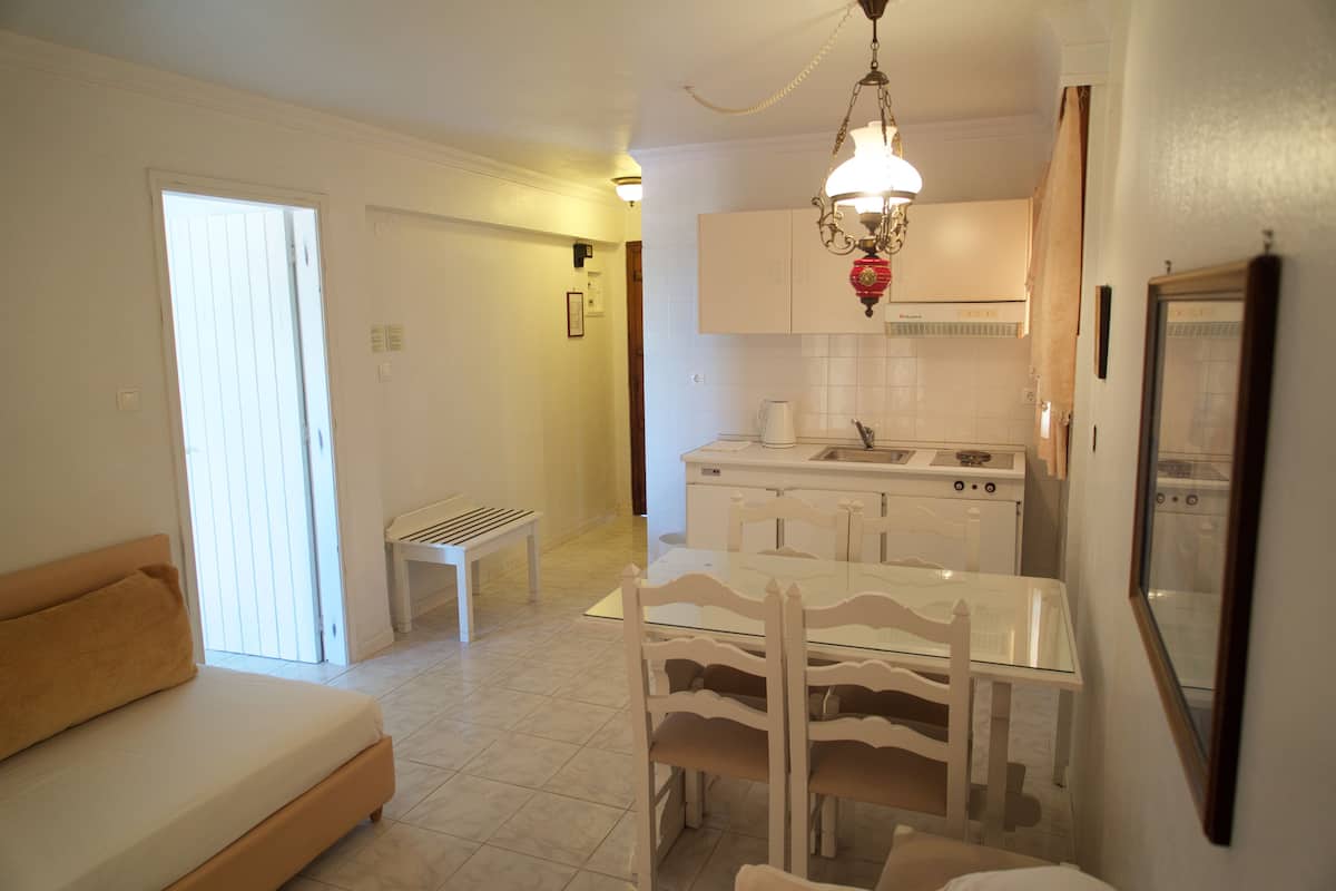 apartment, 1 bedroom | private kitchenette | fridge, coffee/tea maker