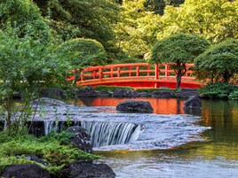 A traditional Japanese garden with a red bridge over a waterfall.