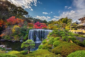 Uma cascata cercada por vegetação exuberante e árvores com cores de outono.