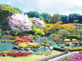 Taman