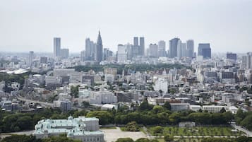 A cityscape with a mix of modern and traditional buildings, a large green park area, and a prominent building with a green roof in the foreground.