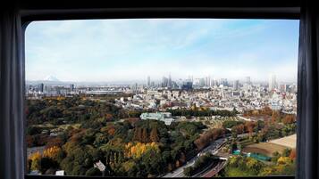A cityscape with a prominent mountain in the background, dense urban buildings, and a mix of green spaces and trees.