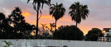 Outdoor pool, pool umbrellas, sun loungers