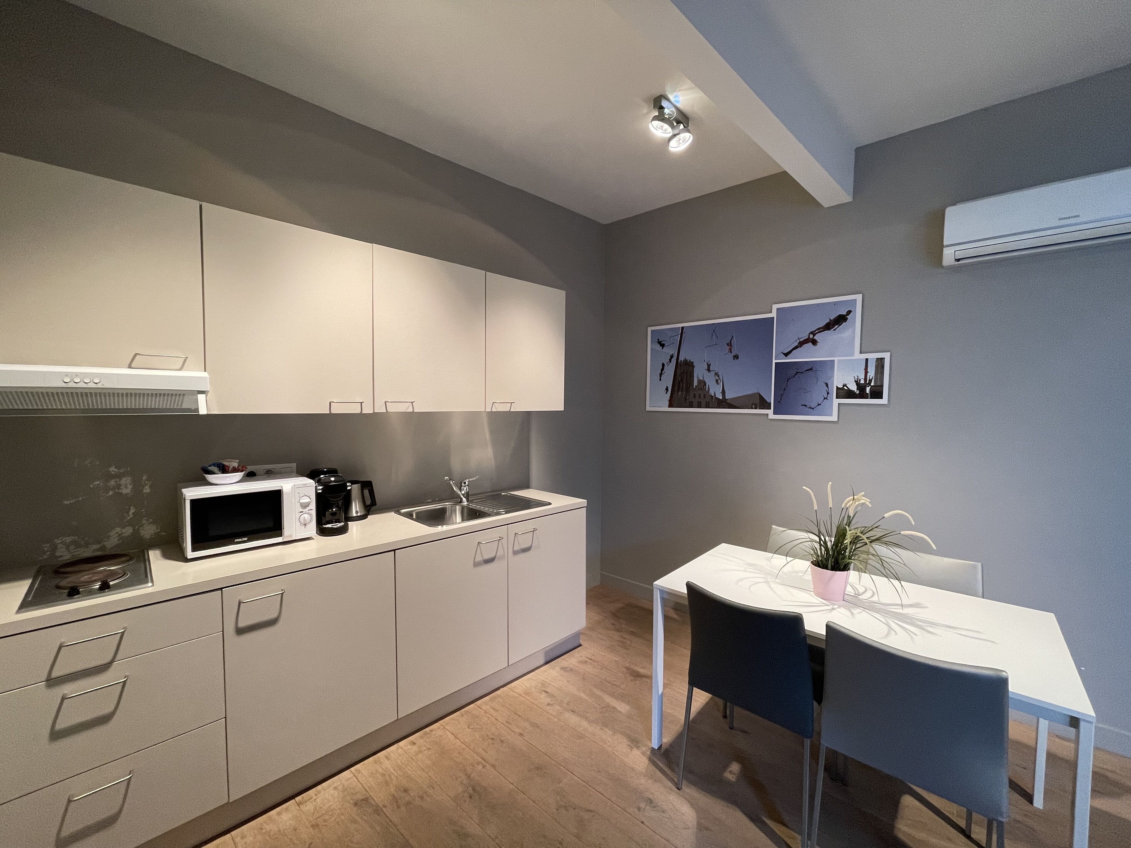 Een moderne keuken met een magnetron, koffiezetapparaat en een spoelbak. Er staat een eettafel met stoelen en een potplant.