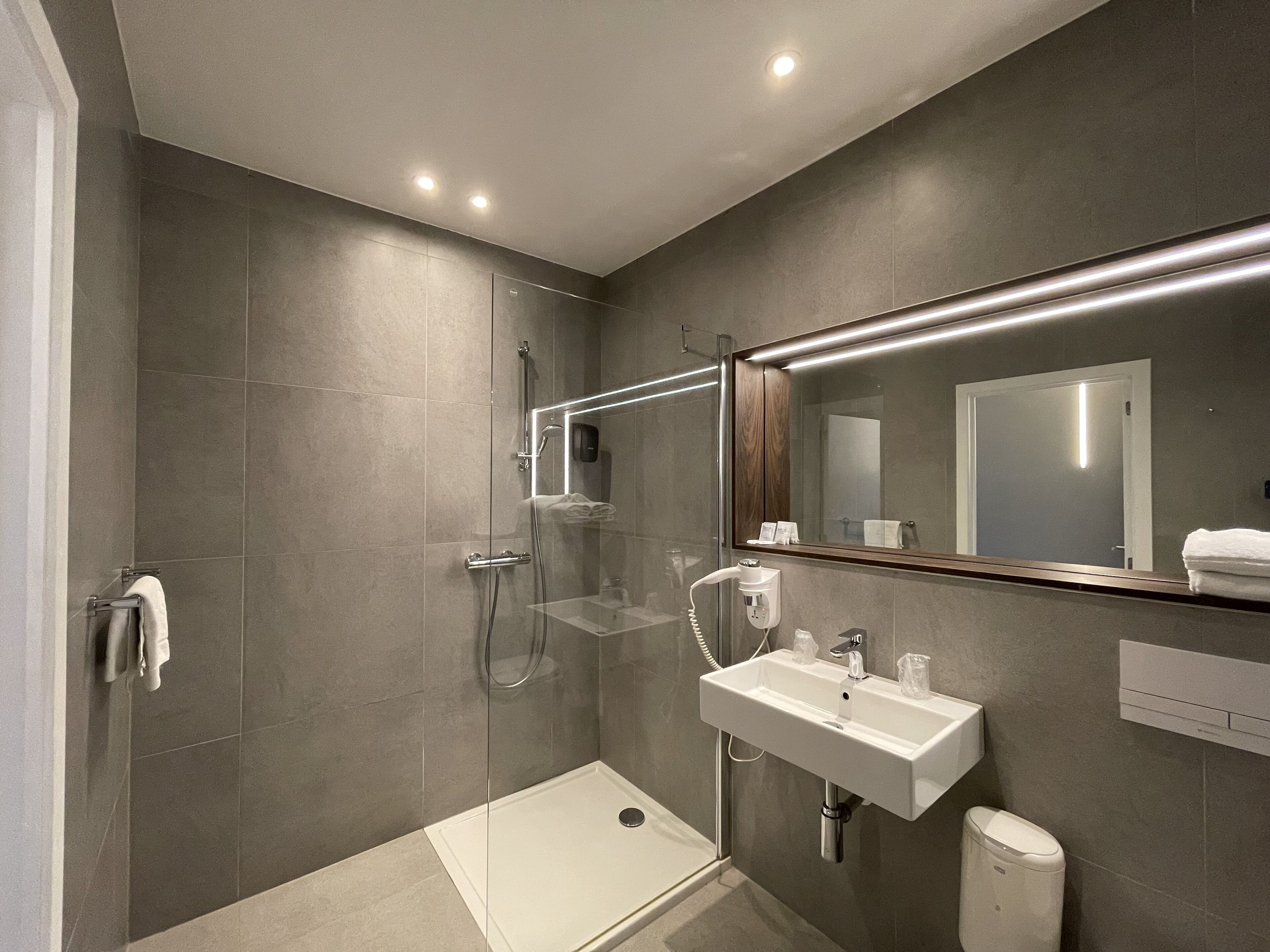 A modern bathroom with a glass shower enclosure, a white sink, and a large mirror.