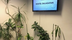 A welcome screen for Hostel Dalagatan with multiple potted plants on the floor. - Hostel Dalagatan (Stockholm)