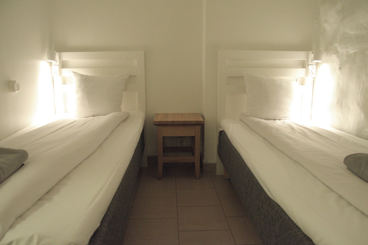 Basic Twin Room, Private Bathroom (no windows) | Soundproofing, free WiFi, bed sheets