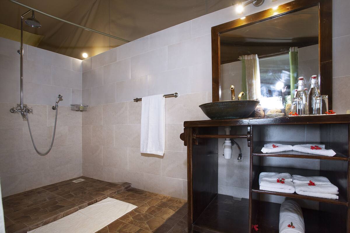 Een badkamer met een douche, een wastafel met een ruime wasbak en een spiegel. Handdoeken en toiletartikelen staan op planken.