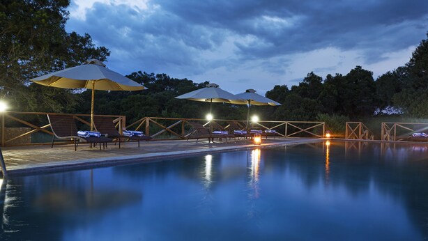 A pool area with lounge chairs and umbrellas, surrounded by trees and a wooden deck. - Loyk Mara Camp (Maasai Mara)