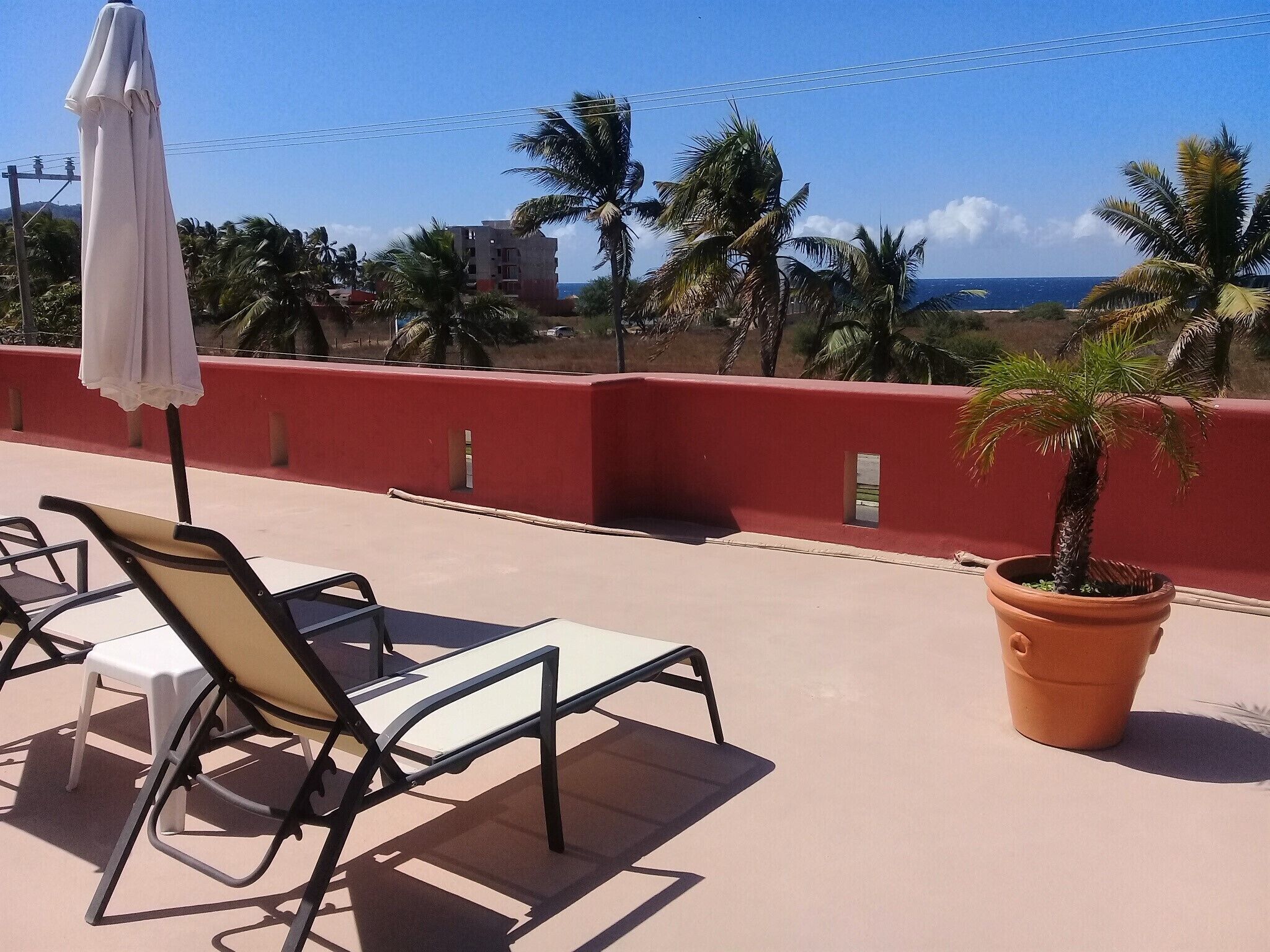 A terrace with a table and chairs, a potted plant, and a view of palm trees and buildings.
