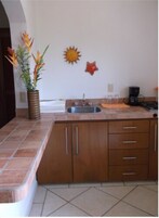 Una cocina con un lavamanos, armarios y una planta decorativa.