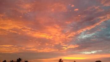 A sunset with a sky filled with orange and pink clouds over a residential area with houses and palm trees.