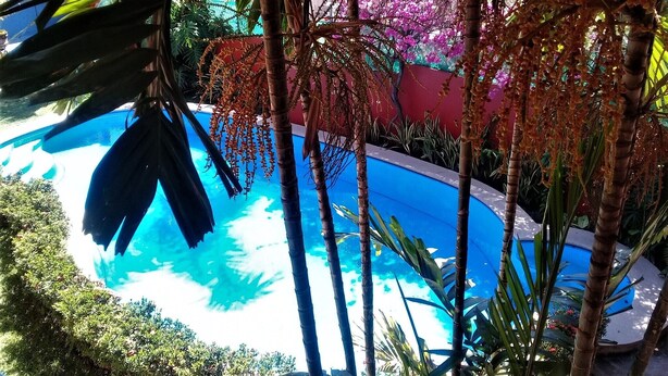 A swimming pool surrounded by lush greenery and flowering plants.