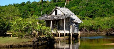 Une maison en bois rustique, construite sur pilotis au bord d’une rivière paisible, entourée d’une végétation luxuriante et de palmiers.