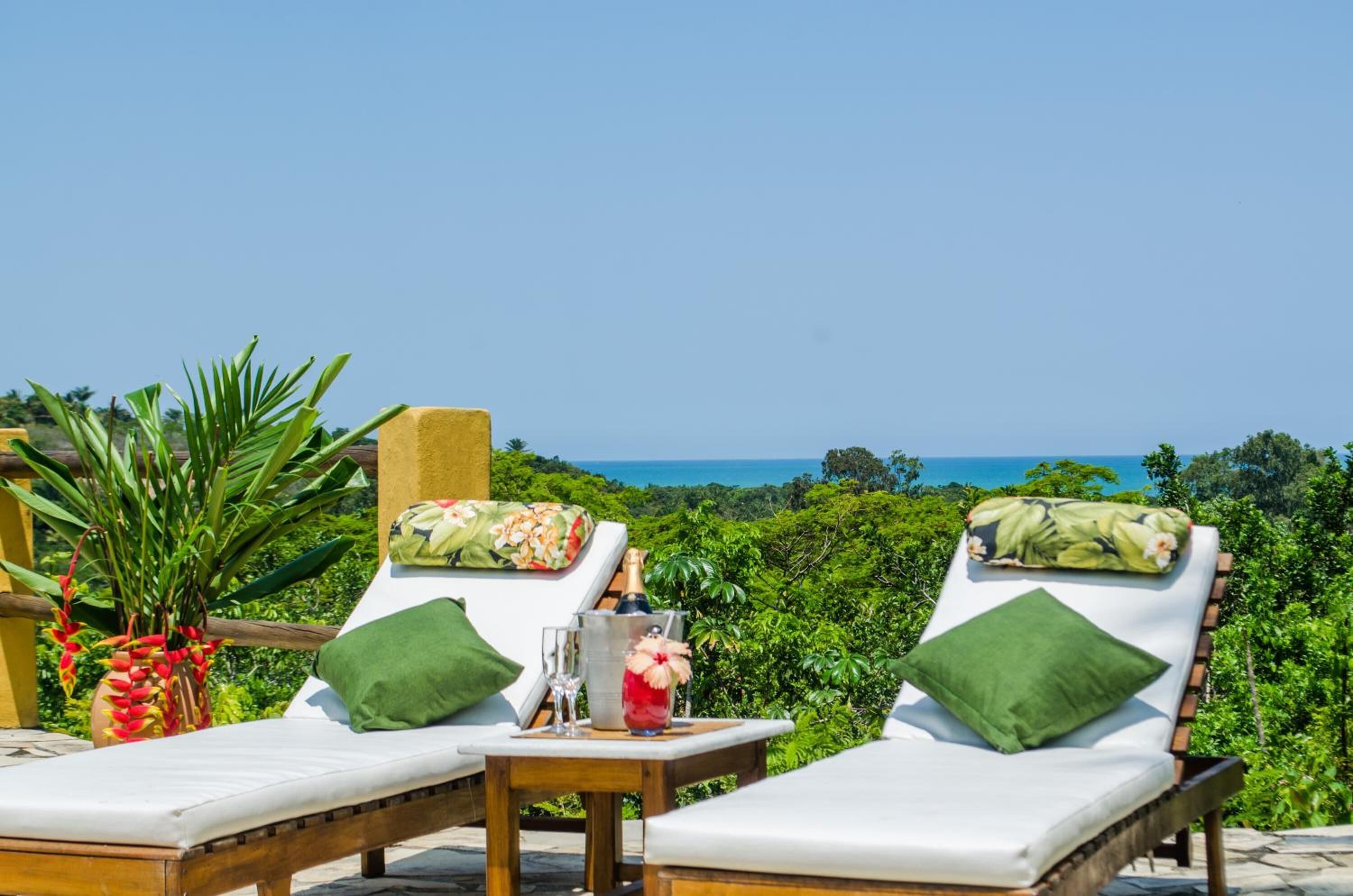 Deux chaises longues avec des coussins verts, une petite table avec une boisson et une bouteille, et une plante tropicale.