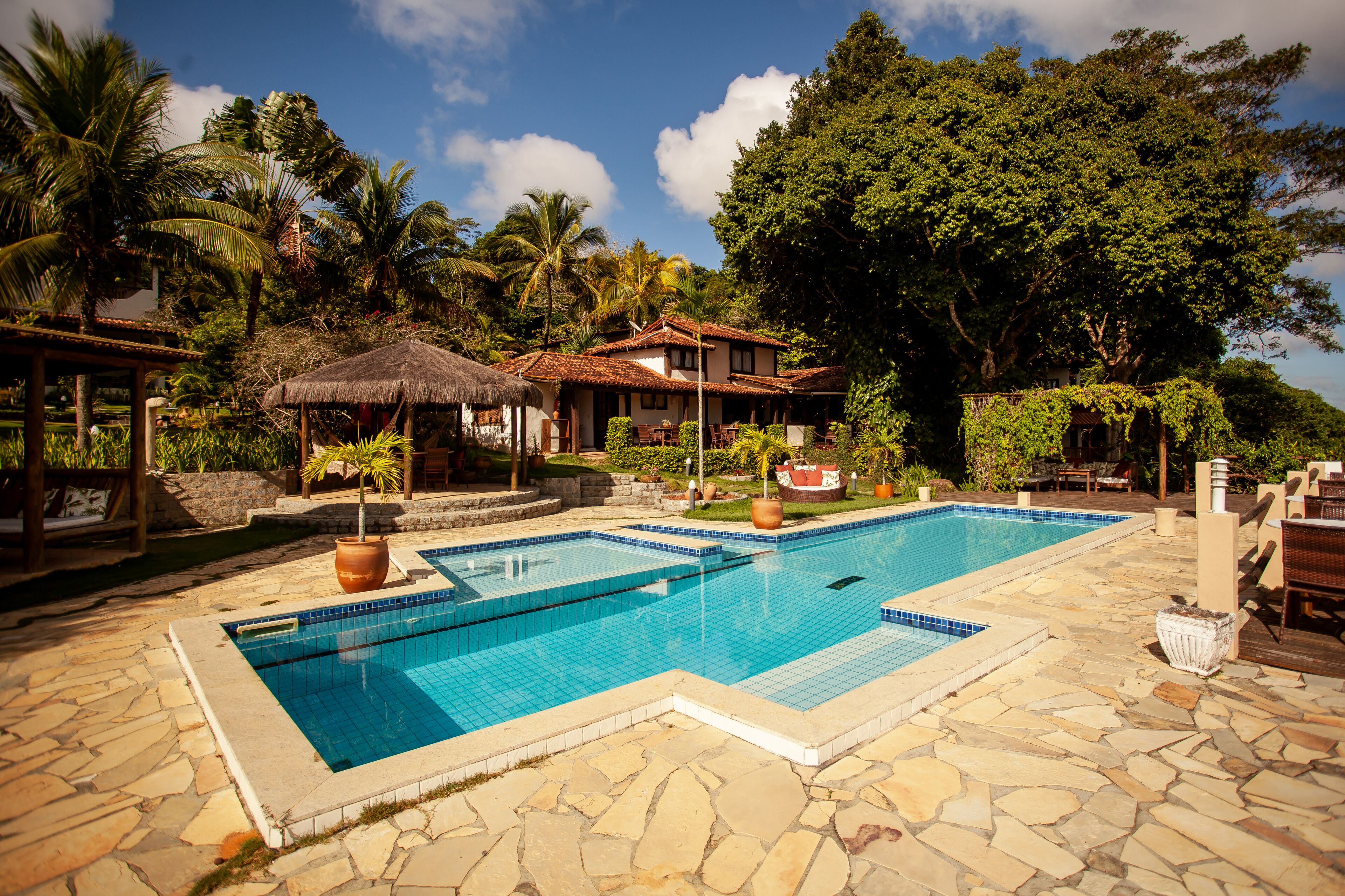 屋外プール、営業時間 8:00 ～ 22:00、プール パラソル、サンラウンジャー