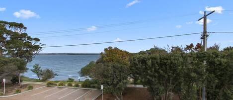 A parking lot with a view of the sea, surrounded by trees and a utility pole.