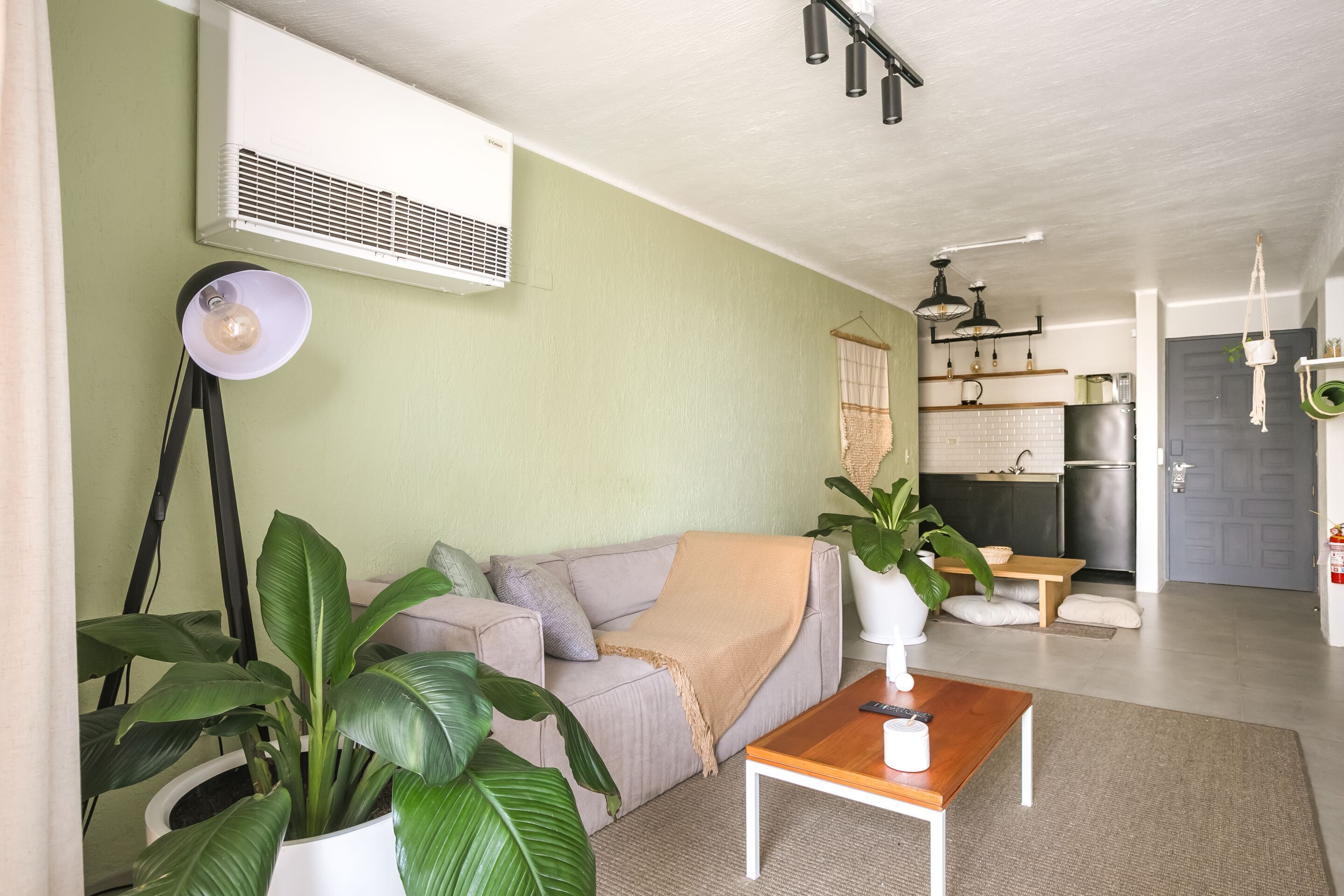 A modern living room with a sofa, coffee table, and potted plants.