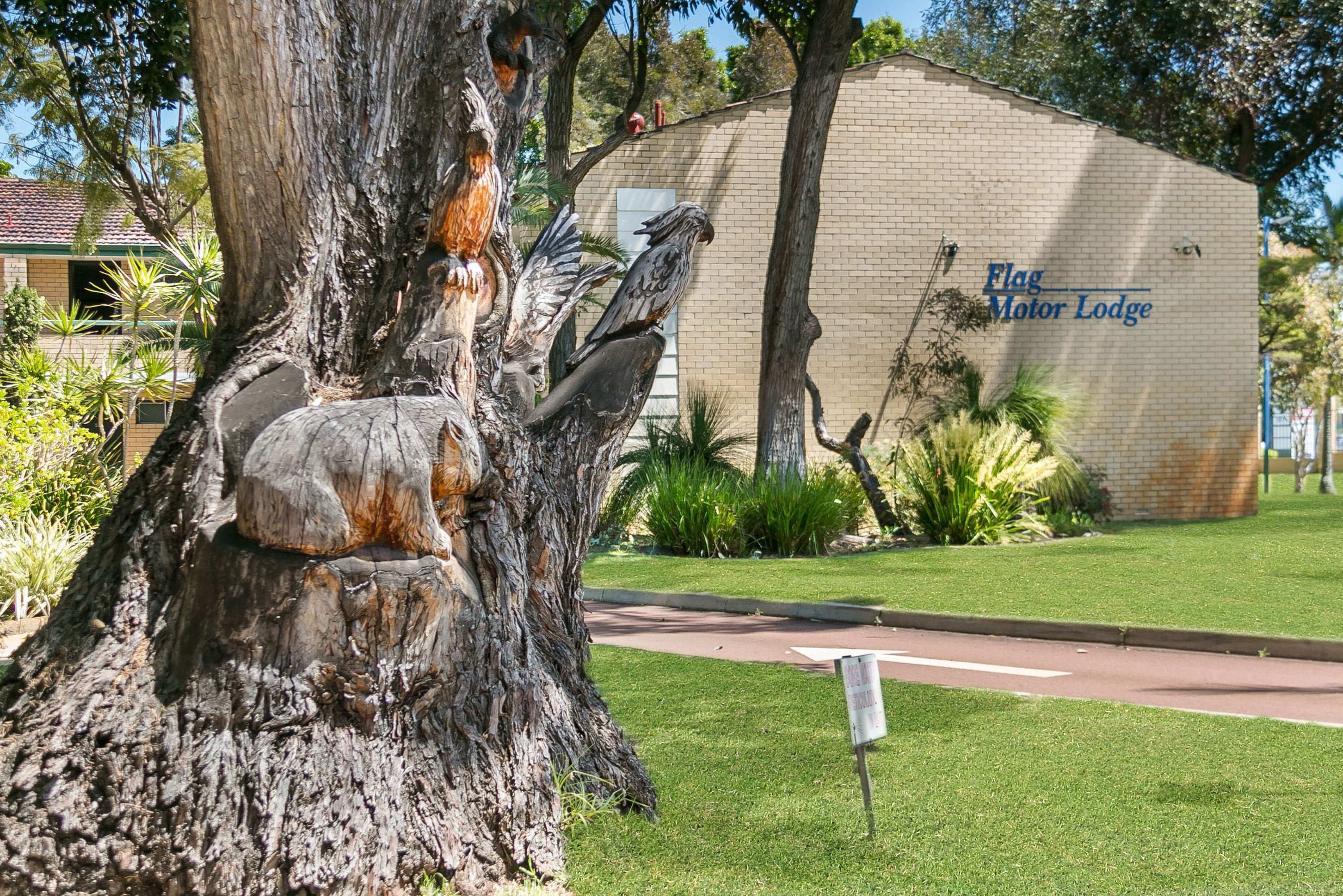 Un arbre orné de sculptures et, au fond, un bâtiment portant l’inscription « Flag Motor Lodge ».