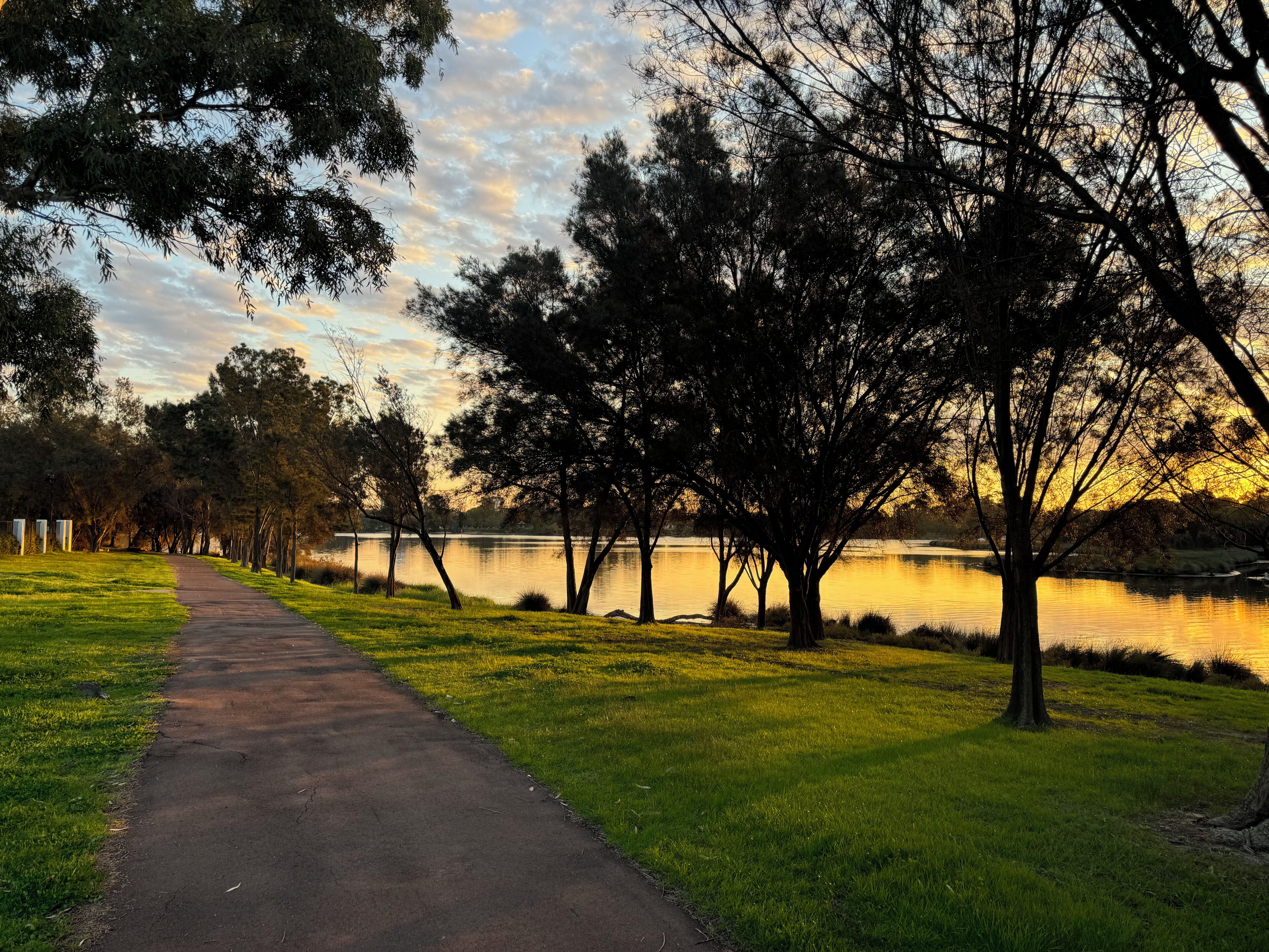 A paved pathway leading to a lake with trees on both sides.