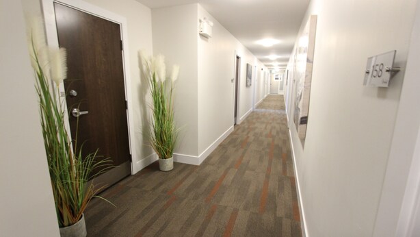 Un couloir d'hôtel avec un sol recouvert de moquette, des plantes en pot et des portes donnant accès aux chambres.