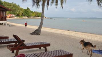 A beach with wooden lounge chairs, a dog, and a person walking.