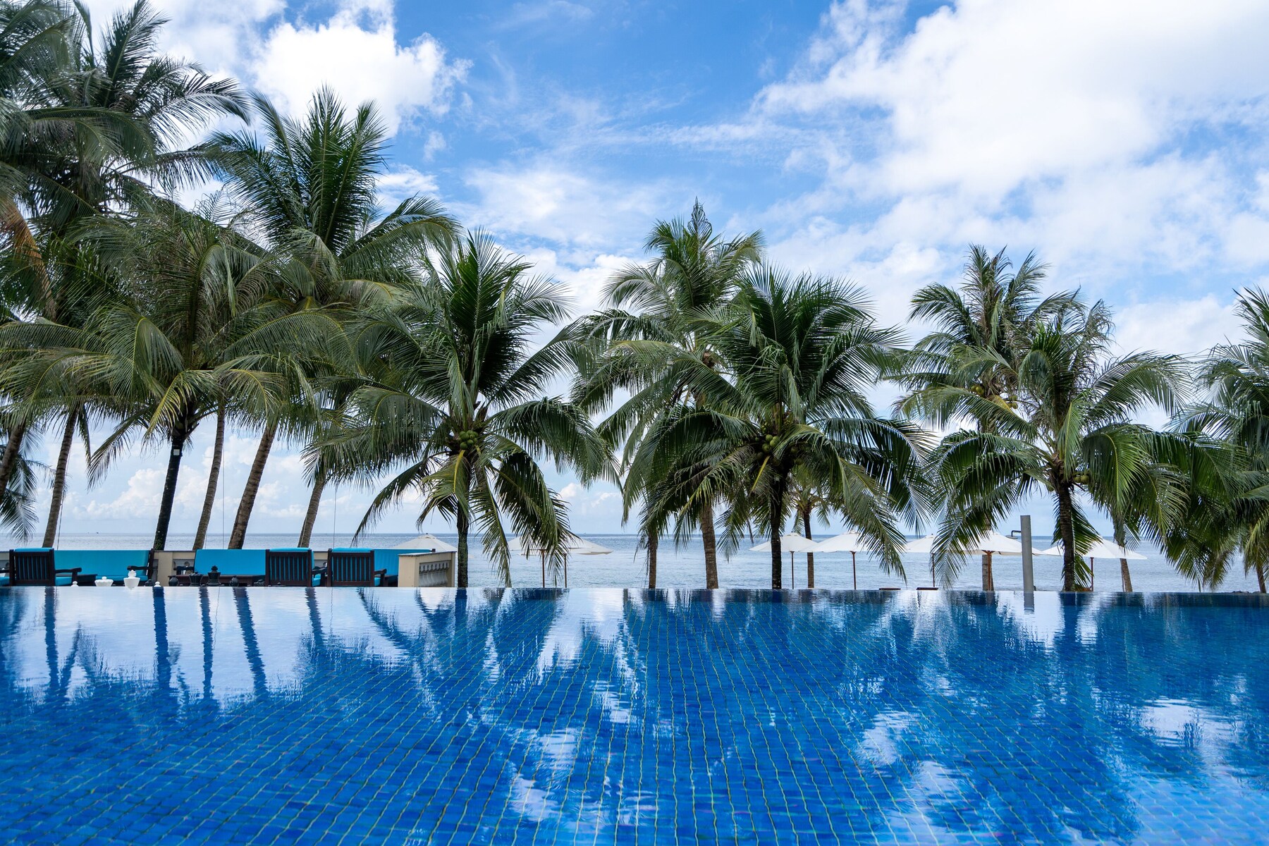 Outdoor pool, pool umbrellas, pool loungers