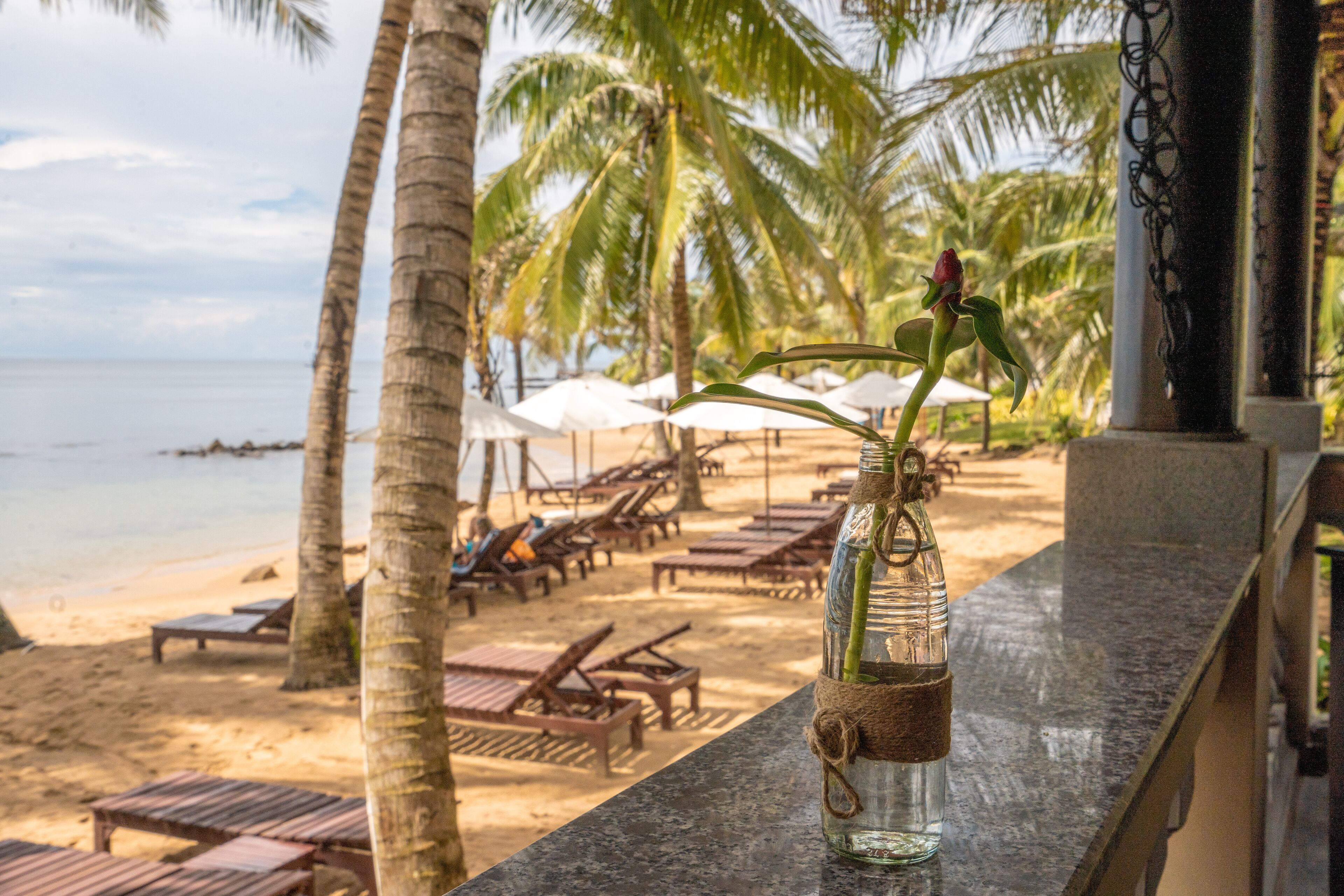 Photo - Sea Sense Resort