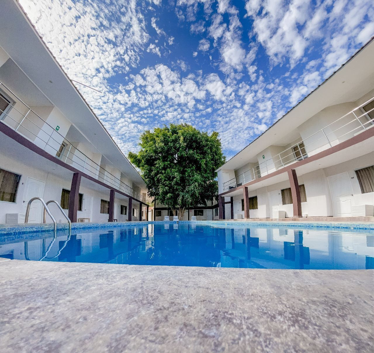 A swimming pool with a tree in the center, surrounded by a building with multiple balconies and windows.