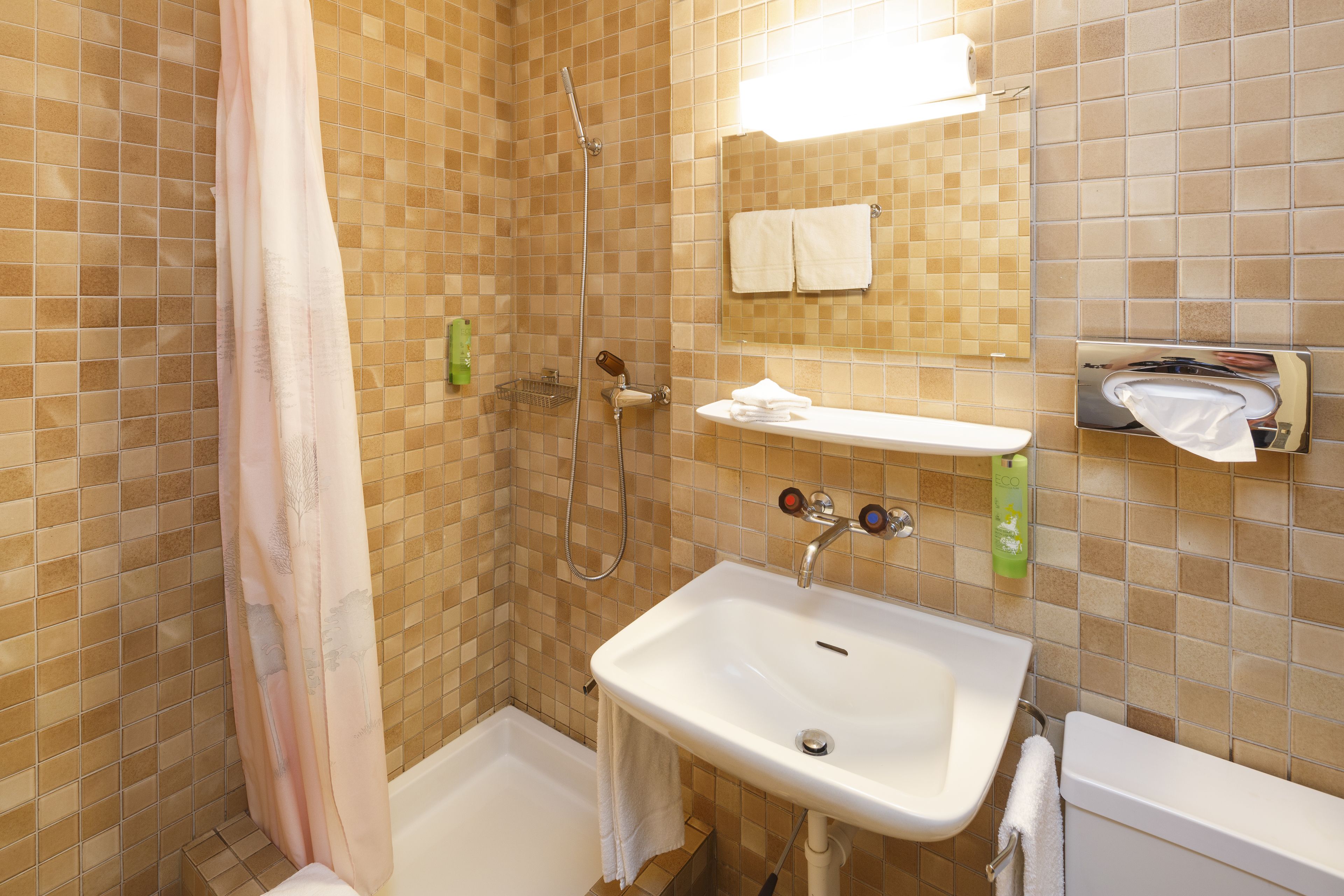 classic single room, mountain view | bathroom | shower, free toiletries, hair dryer, towels