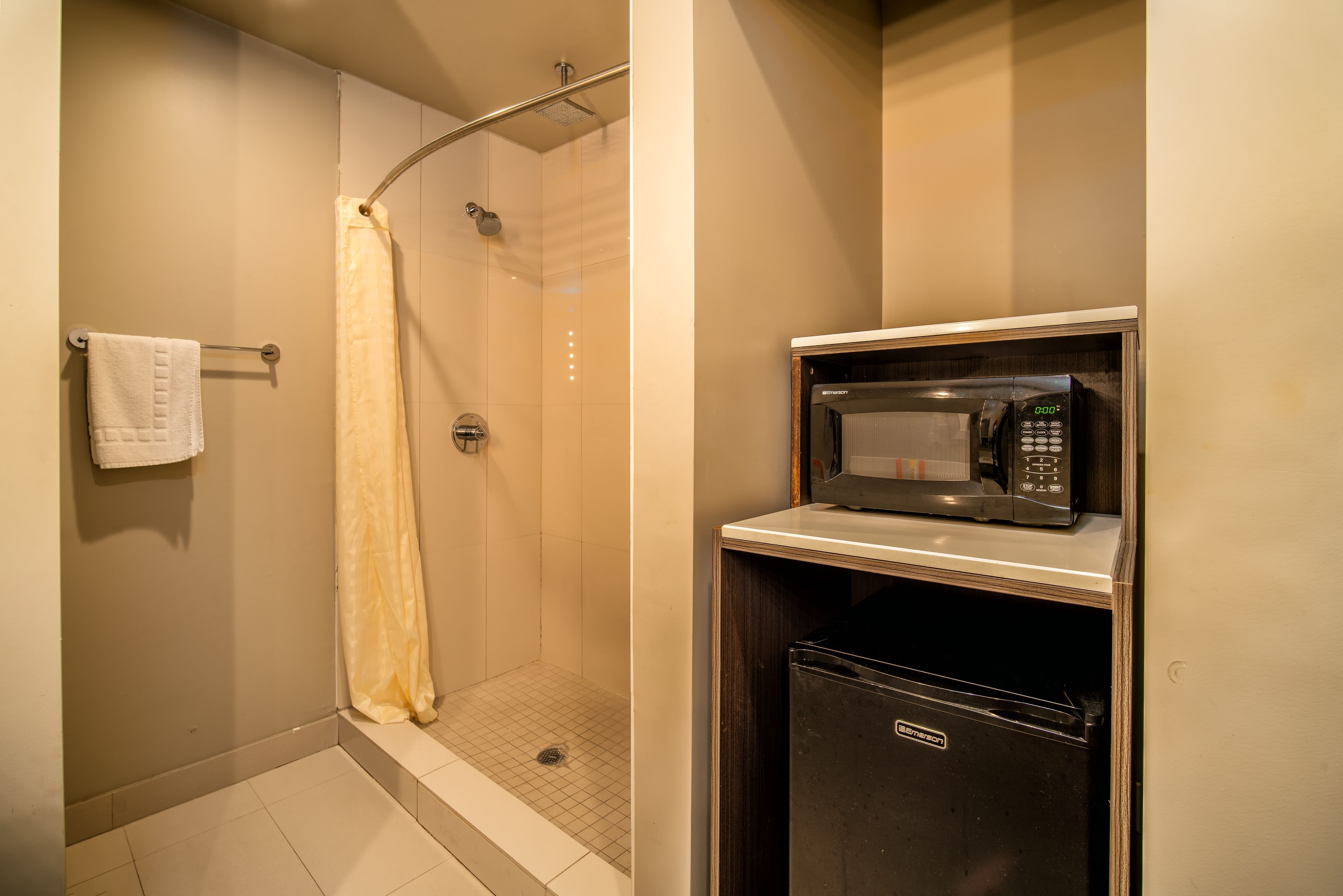 shower, free toiletries, hair dryer, towels