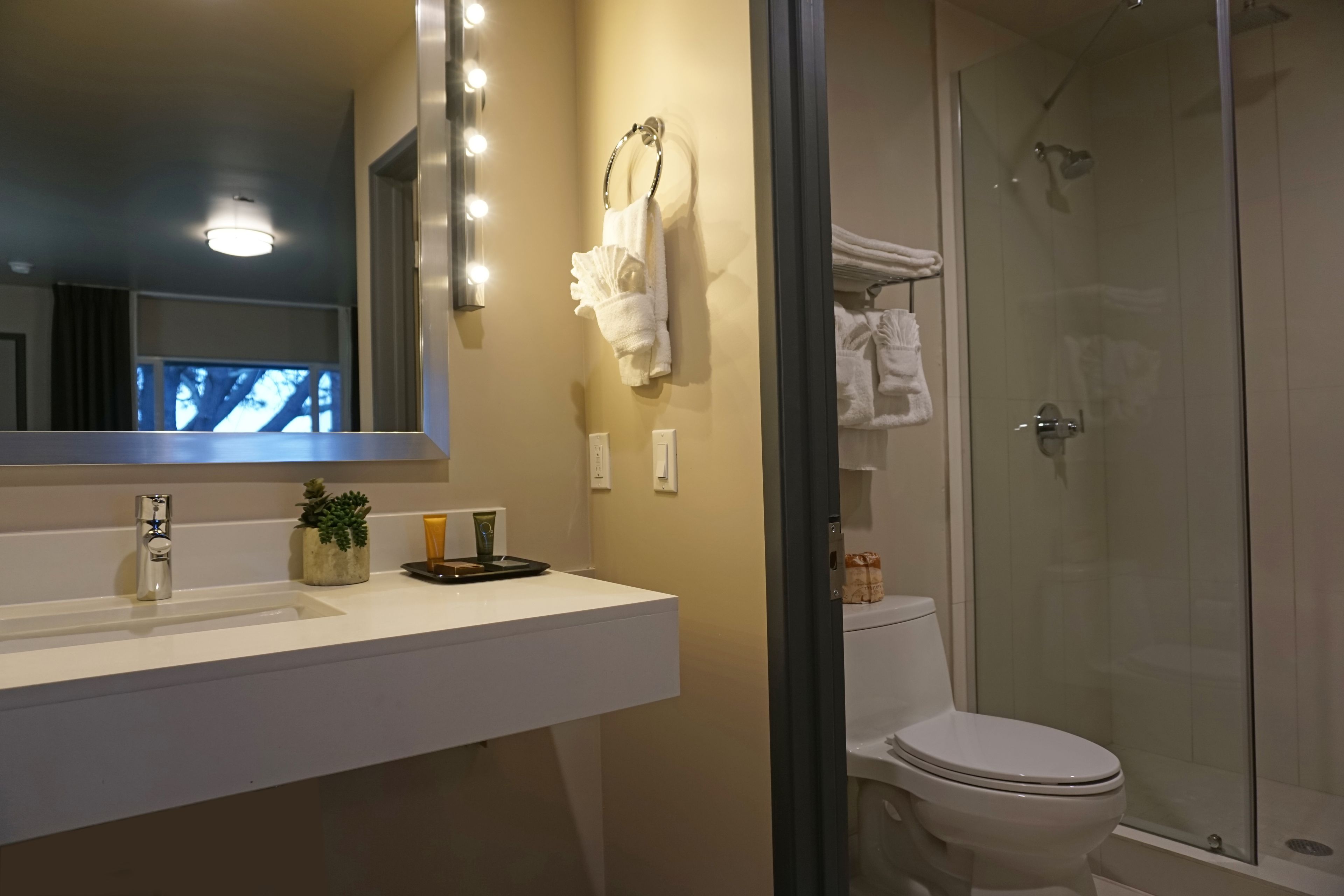 shower, free toiletries, hair dryer, towels