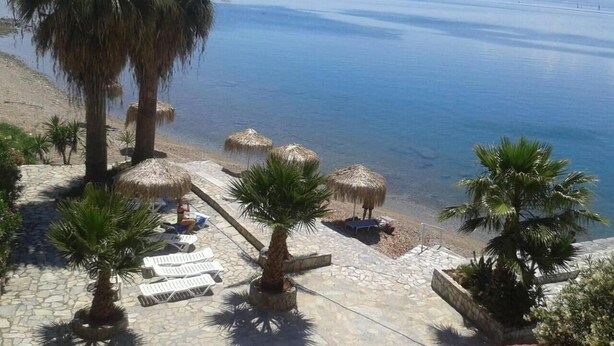 Un complexe hôtelier en bord de mer, doté de chaises longues, de palmiers et de parasols en feuilles de palmier.