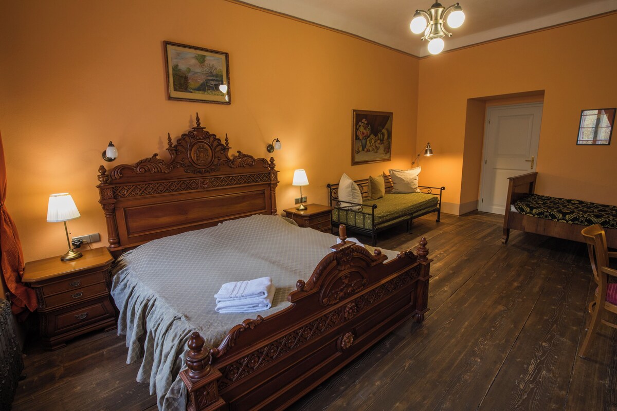 Deluxe room with Castle view
