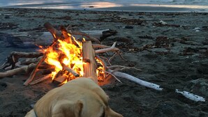 Beach - Ocean House Inn & Condos (Homer)