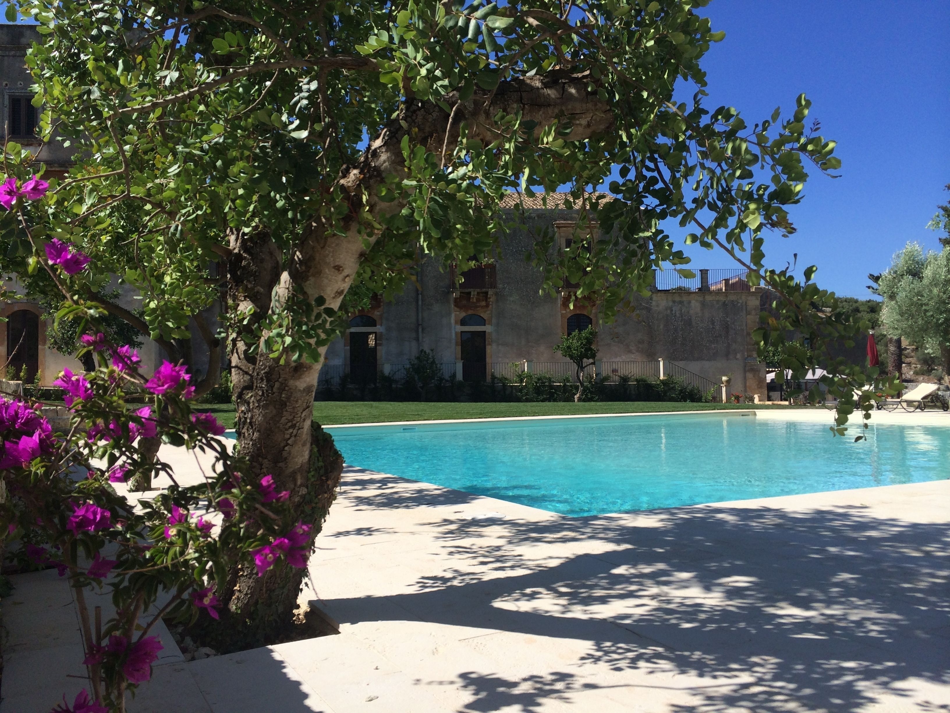 A pool area with a clear blue pool, surrounded by a white deck and lush green foliage.